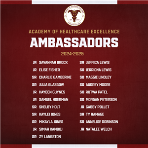 Ambassadors